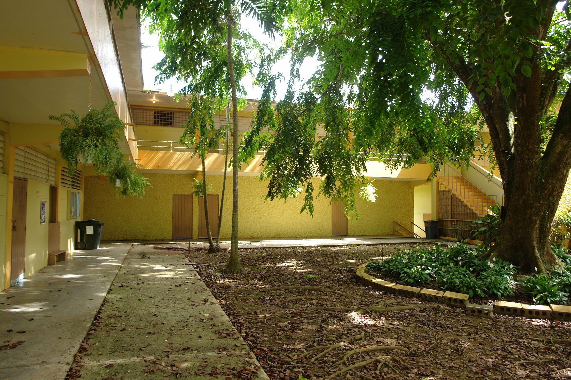 FDII - Aibonito - 2010 00015